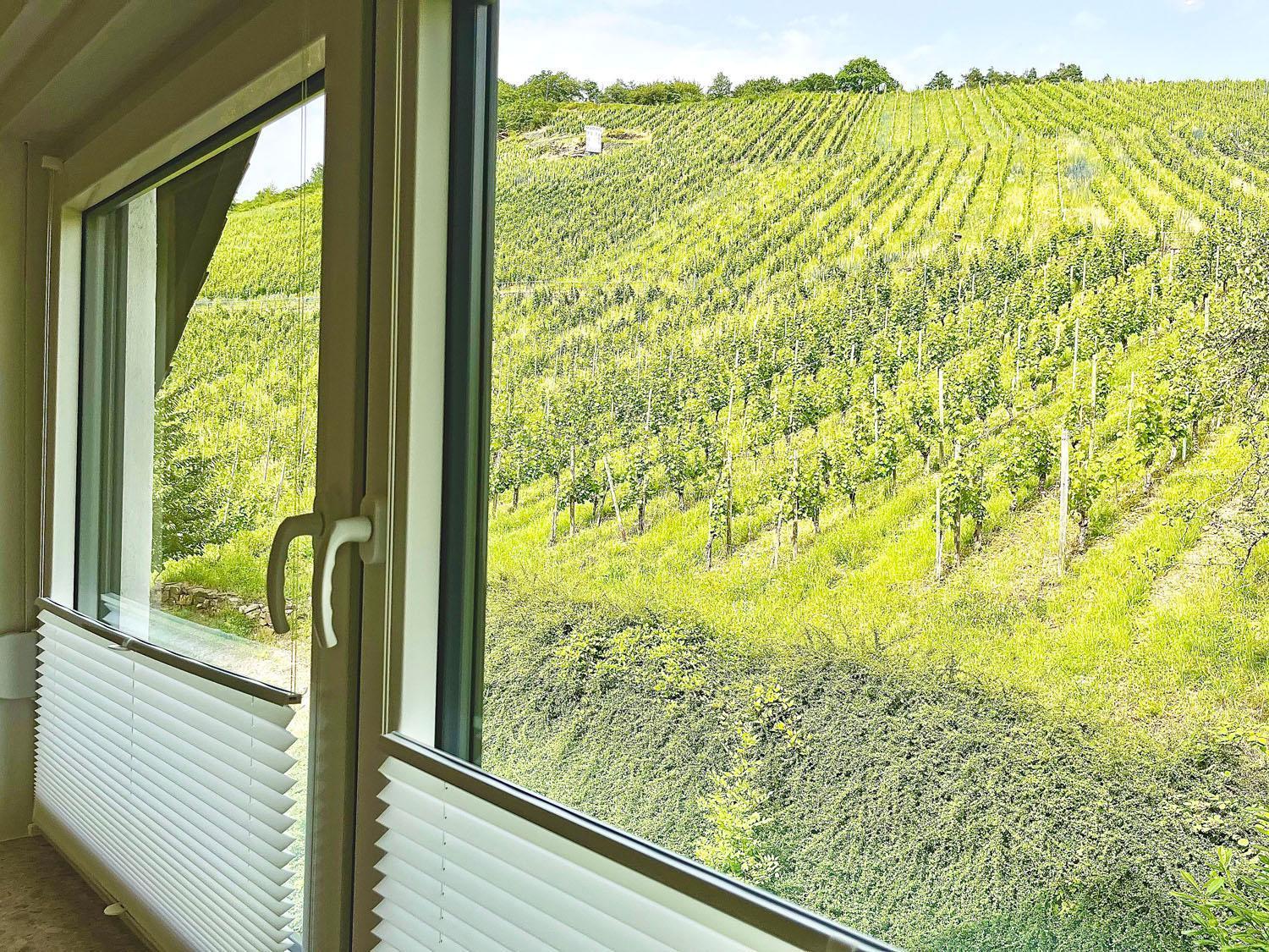 Ferienwohnung 1595 Im Weingut Botzet Maring-Noviand Exterior foto
